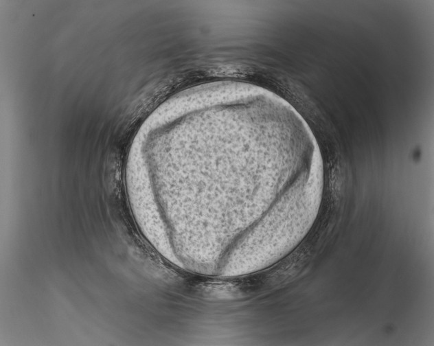 X0000115380322200912011211