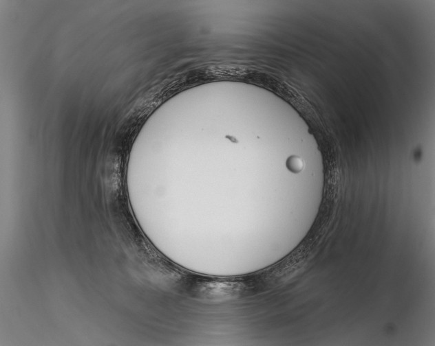 X0000115380323200912011211