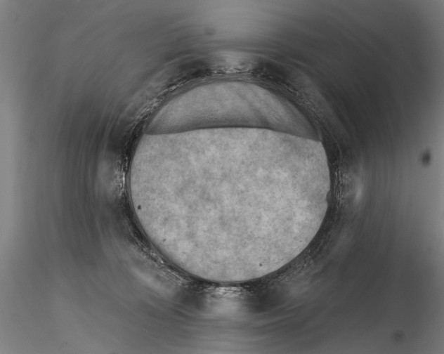 X0000115380324200912011211