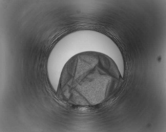 X0000115380325200912011211