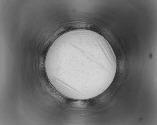 X0000115380326200912011211