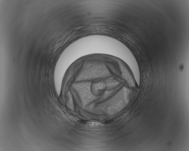 X0000115380327200912011211