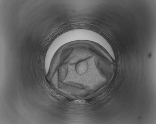 X0000115380328200912011211