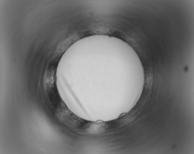 X0000115380334200912011211