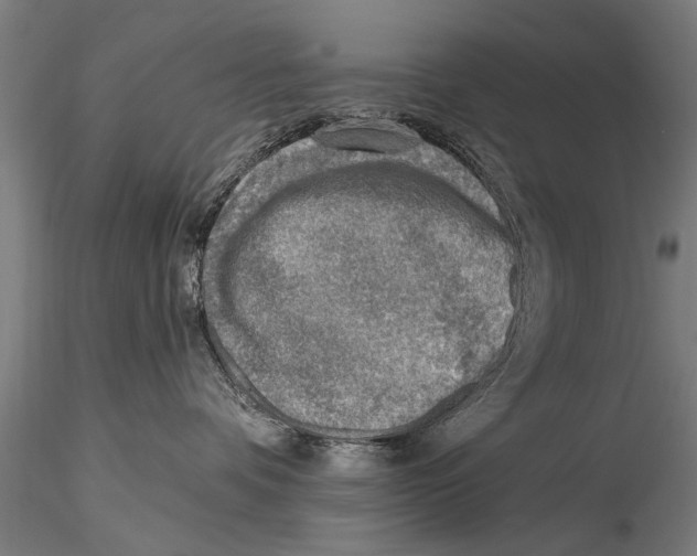 X0000115380336200912011211