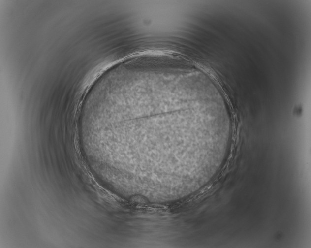 X0000115380337200912011210