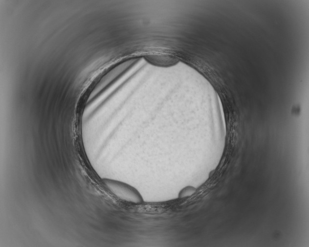 X0000115380338200912011210