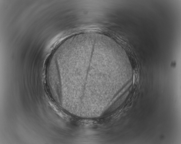 X0000115380339200912011210