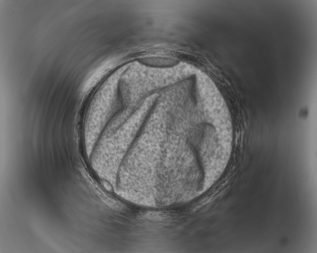 X0000115380341200912011210