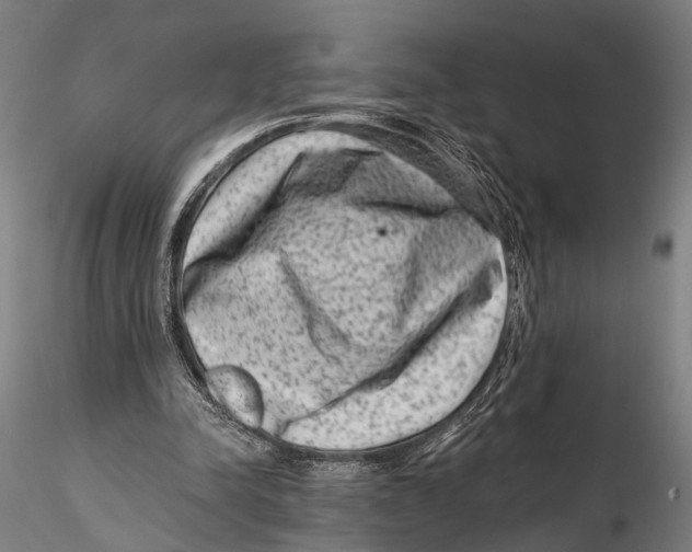 X0000115380342200912011210