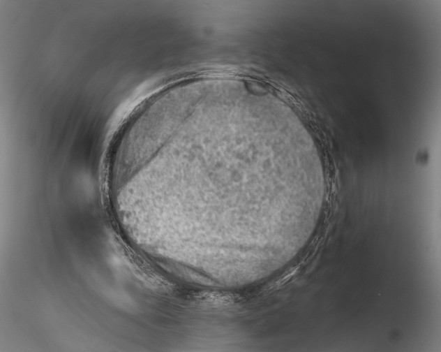 X0000115380343200912011210