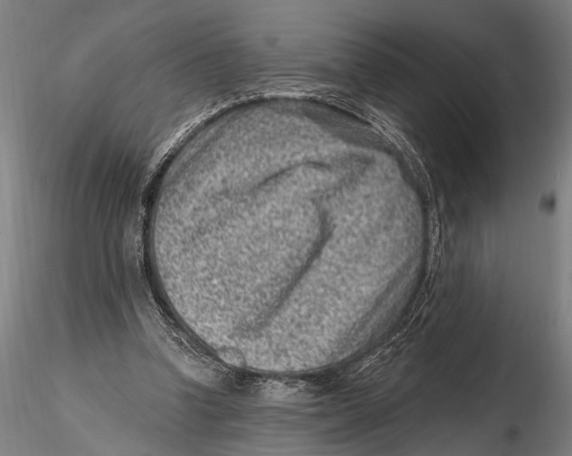 X0000115380346200912011210