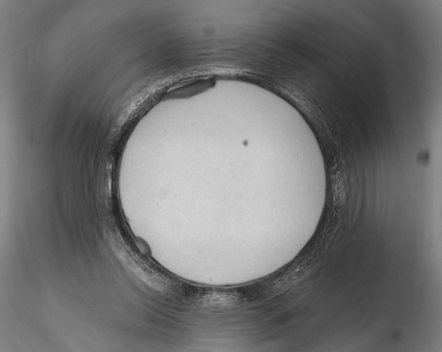 X0000115380350200912011211