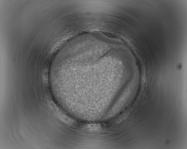 X0000115380353200912011211