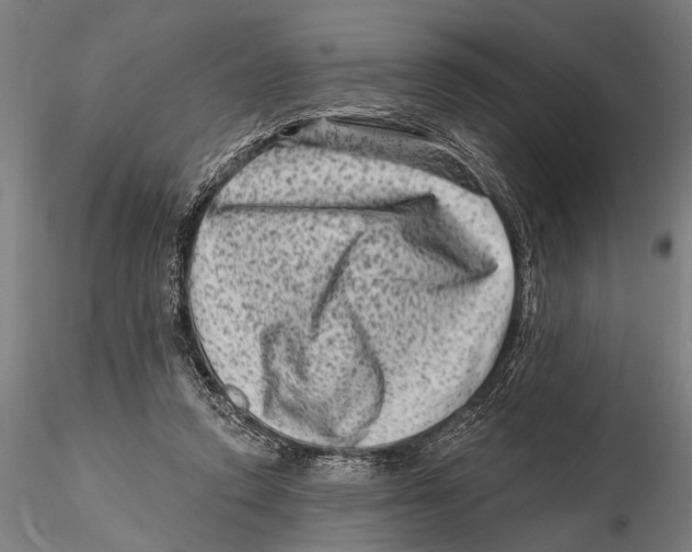 X0000115380354200912011211