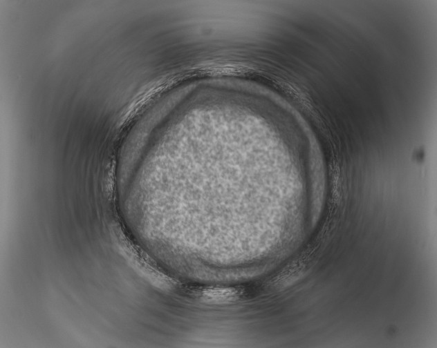 X0000115380357200912011211