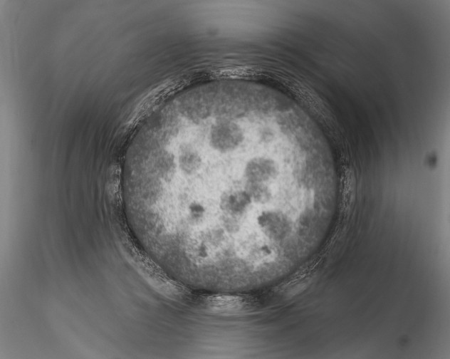 X0000115380361200912011211