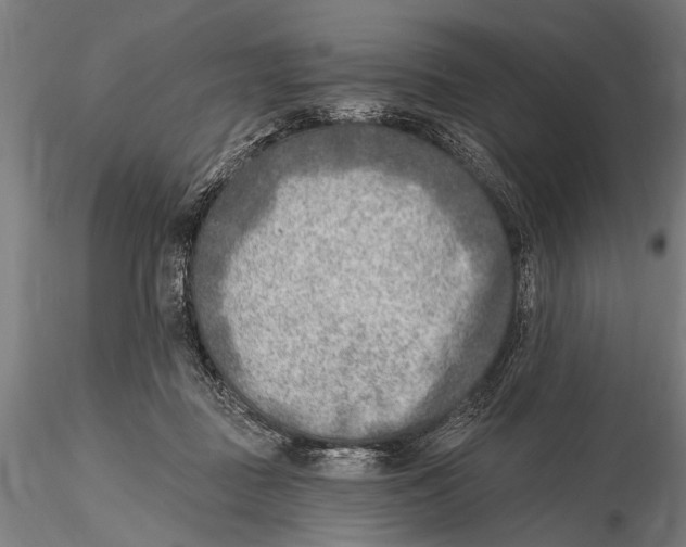 X0000115380363200912011211