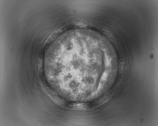 X0000115380365200912011211