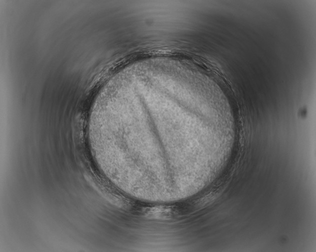 X0000115380366200912011211