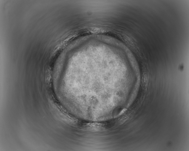 X0000115380367200912011211