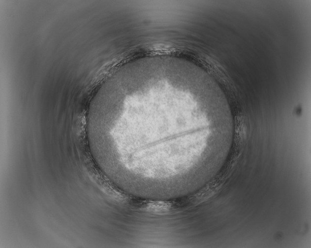 X0000115380369200912011211