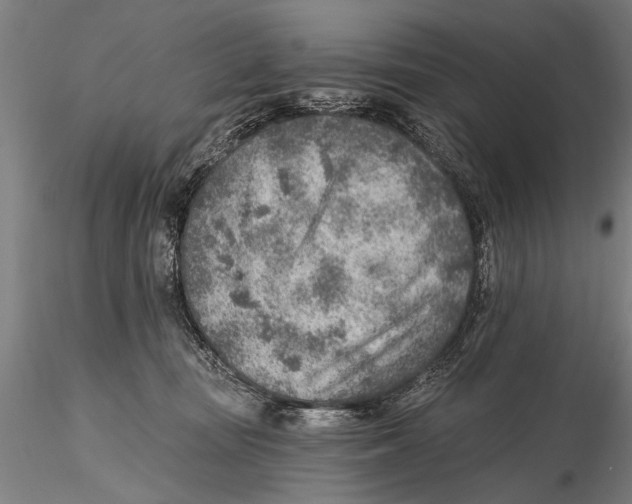 X0000115380371200912011211