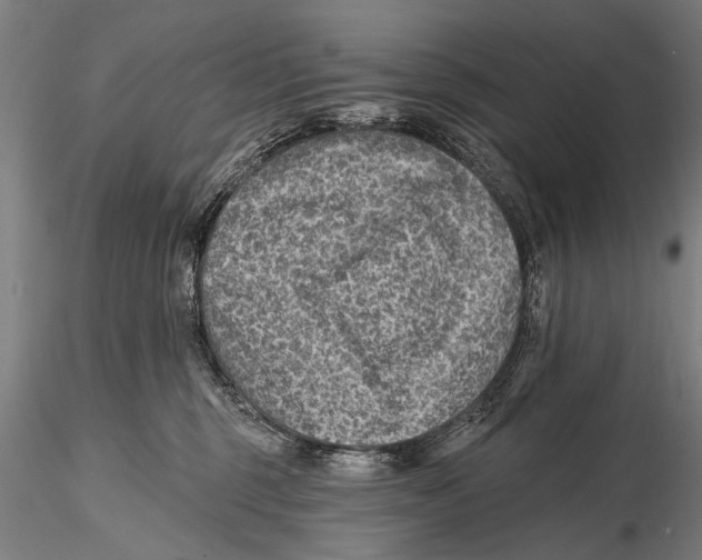 X0000115380375200912011211