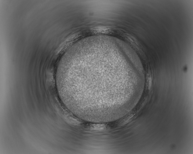 X0000115380377200912011211