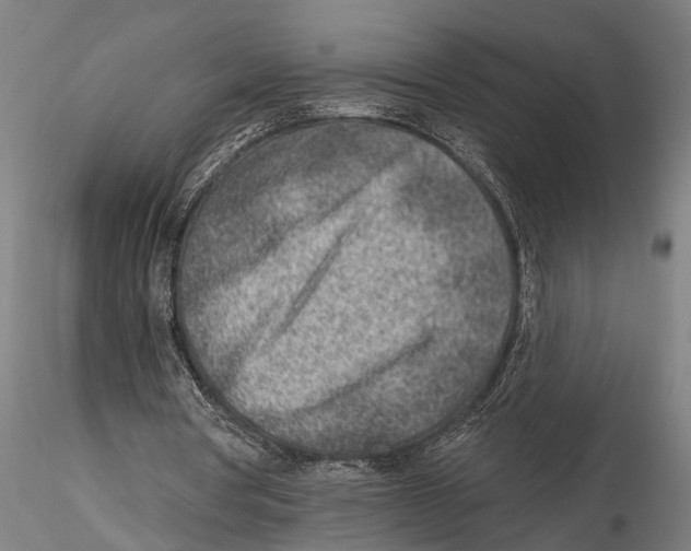 X0000115380386200912011210