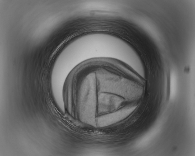 X0000115380387200912011210