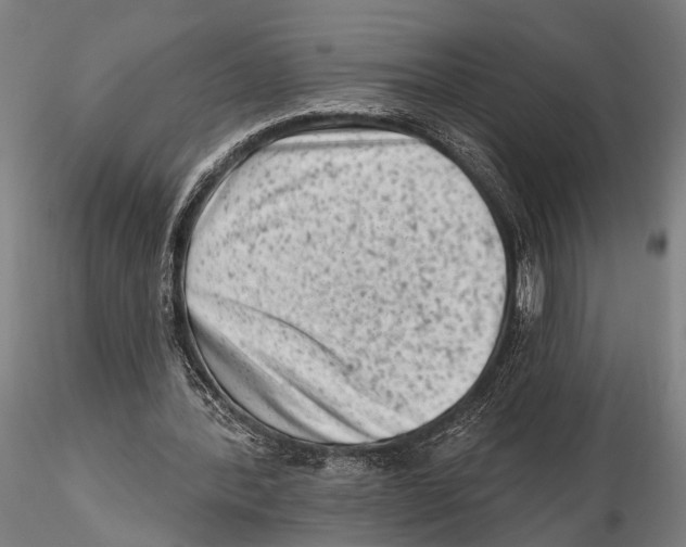 X0000115380388200912011210