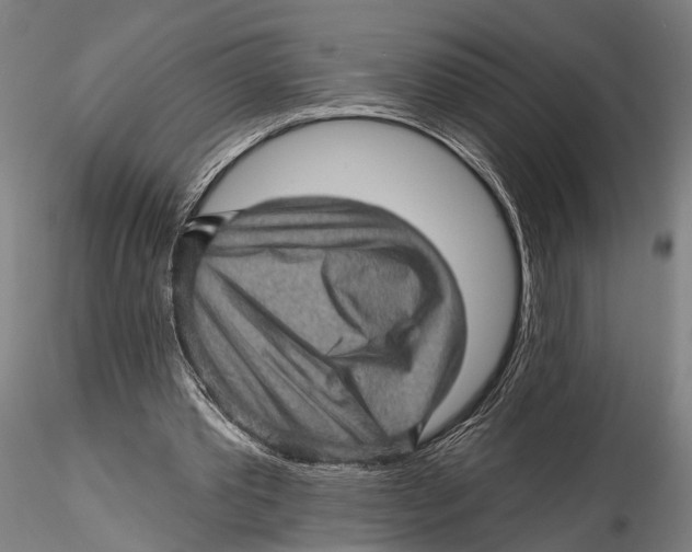 X0000115380389200912011210