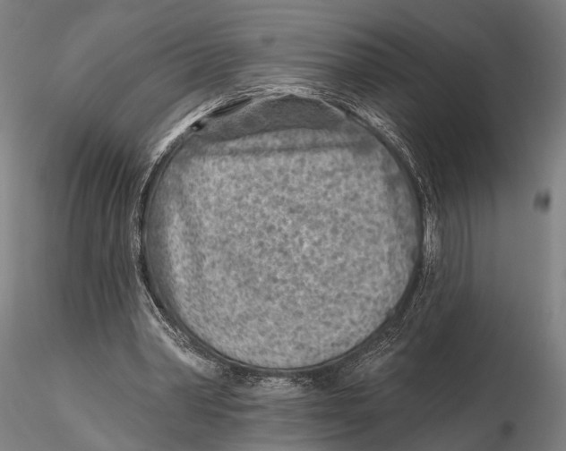 X0000115380390200912011210