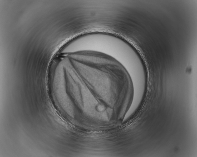 X0000115380391200912011210