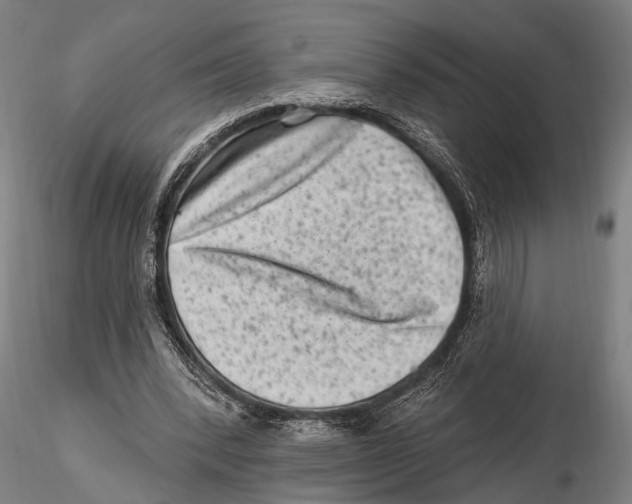 X0000115380392200912011210