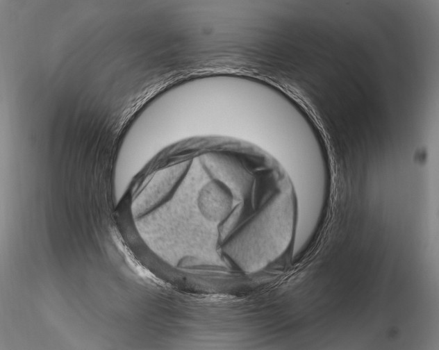 X0000115380393200912011210