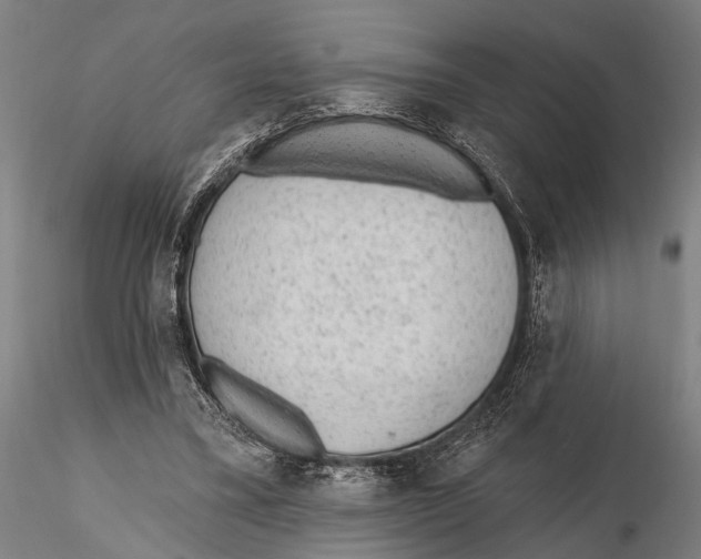 X0000115380395200912011210