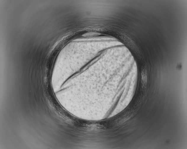 X0000115380396200912011210