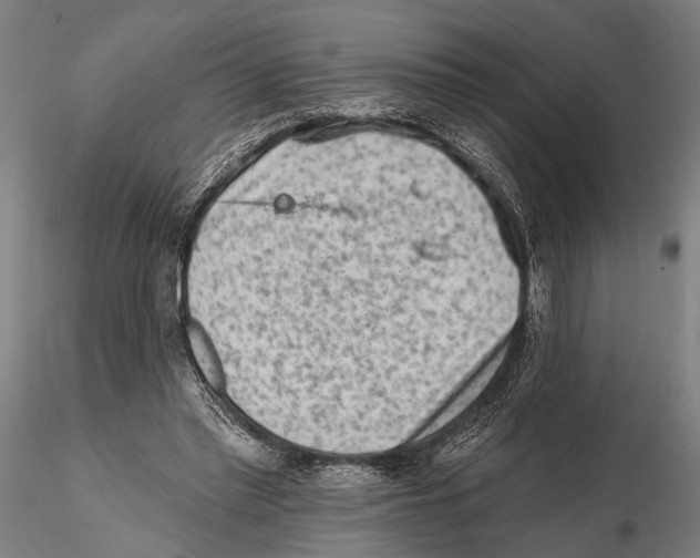 X0000115380397200912011210