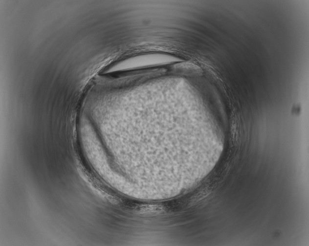 X0000115380398200912011210