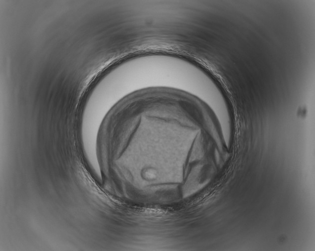 X0000115380399200912011210