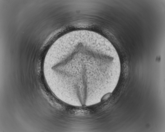 X0000115380400200912011210