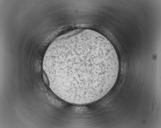 X0000115380401200912011210