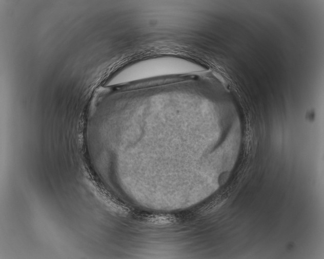 X0000115380402200912011210