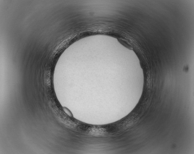 X0000115380403200912011210