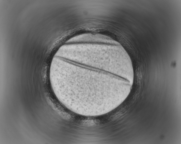 X0000115380404200912011210