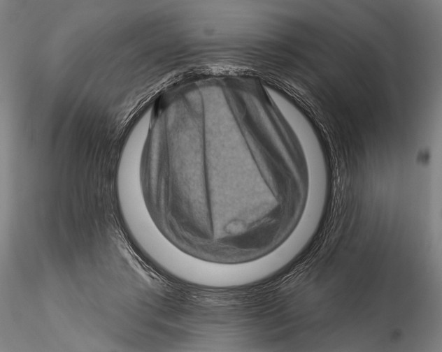 X0000115380405200912011210