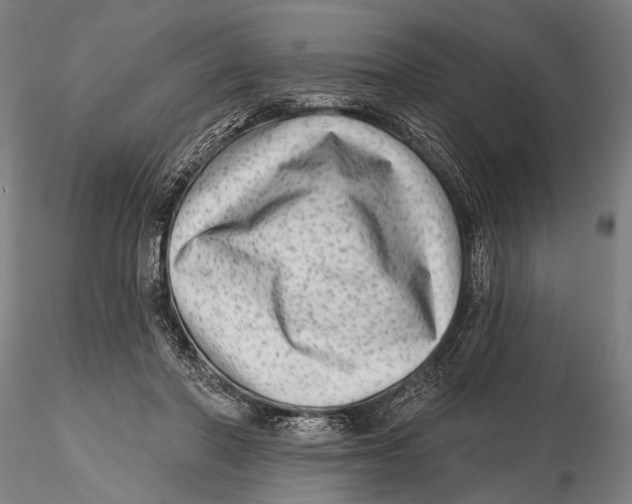 X0000115380406200912011210