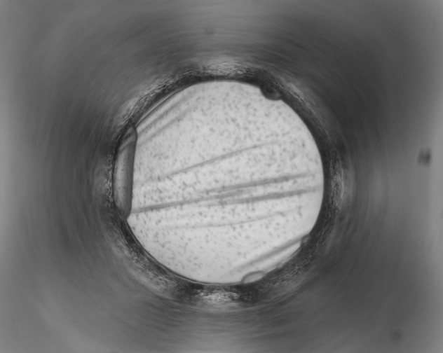 X0000115380407200912011210